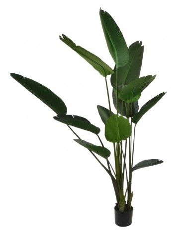 PLANTA ARTIFICIAL BANANERA 180CM