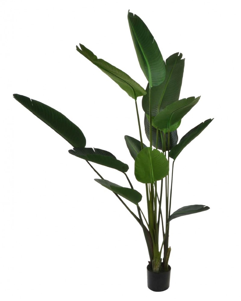 PLANTA ARTIFICIAL BANANERA 180CM